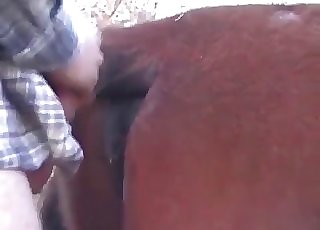 Chocolate-colored mare truly worships anal foray