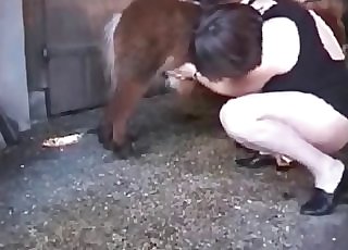 Amazing person is having oral hump session with a pony