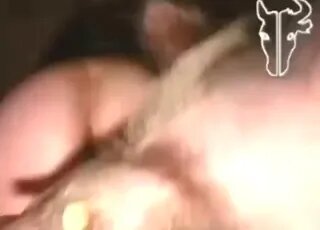  Bestial Sex & Horse Fucking Clips
