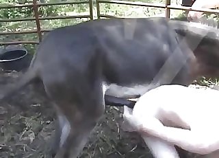 Big ebony pony fucks his tight anal fuck-hole