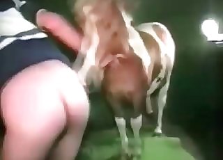 Horse and super-bitch in the barn