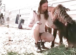 Furry zoophile pummels with a pony