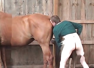 Porno sodomie mit tieren tiersexualkino, pferd