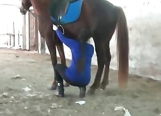 The starlet of this video is a horse that shits in the barn