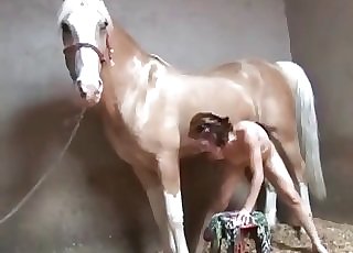 Brutal penetration with a pony