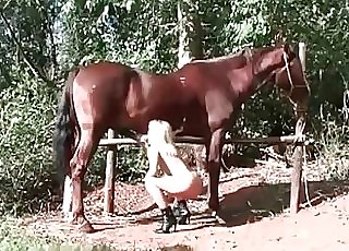 Long legged blonde romps with a pony