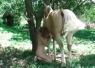 Awesome dick-riding with a hot horse