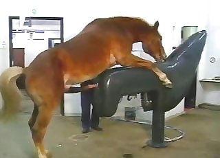 Horse cums a huge load in banging machine