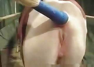 Sweet horse crack hard fucked by a big cock
