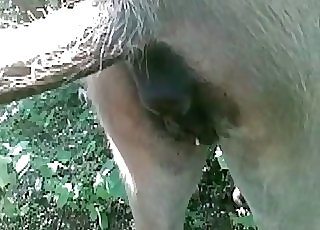This amazing pony has a really taut and raw pussy