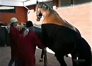 Cute jockey helps her horse to shag right