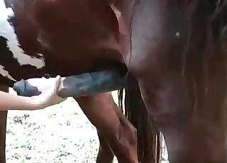 Horse cock handjob