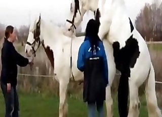 Amazing outdoors act with a horse