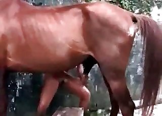 Tanned girl massages a horse