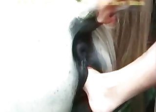 Incredible fisting sesh for a beautiful horse with big libido