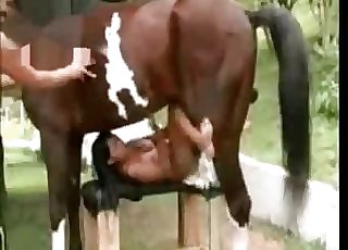 Beautiful bestiality porn compilation with horses