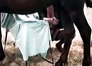 Total whore having some nasty fun with a brown horse