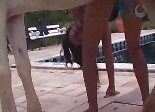 Jaw-dropping horse fucking poolside