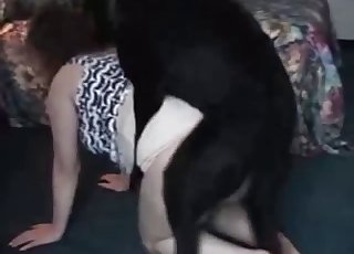 Pooch orgy including a frisky whore and her puppy