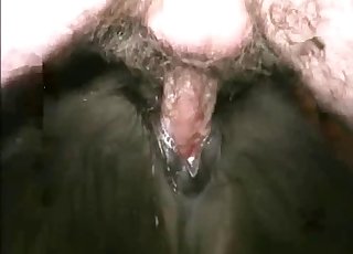 Hot man is toying with a tight anal hole of a horse