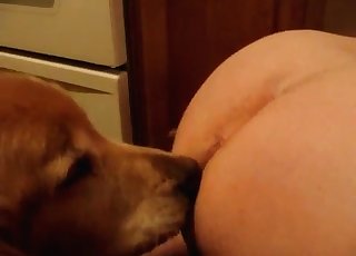 Dog is in enjoy with that asshole