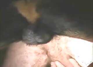 Fucked unconnected with a horny beast that keeps it tight