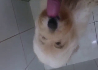 Oral physical force porn not far from careful licks and moans