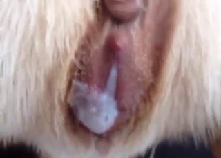 Sex