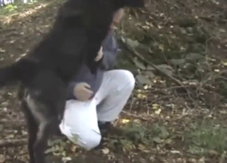 Bald-headed defy wants to be wild about a sexy doggo