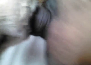 Zoo porn in POV shows a titillating beast getting ruined