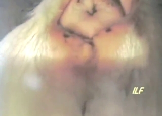 Sheep fucker is going to show what he does