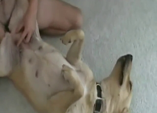 Zoo XXX with a guy who gets with reservations tender