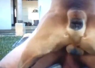 Hot-ass beast is going to fuck his asshole hard