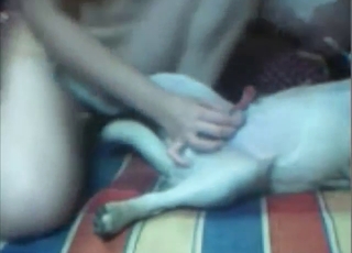 Dude gets regarding enjoy his Asian's GF latest three-ring circus bonk