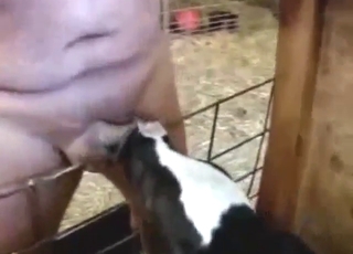 Zoophile feeds his magnificent cock to a fucking recess