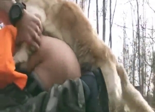 Mofo with a good-looking ass fucks a sexy dog