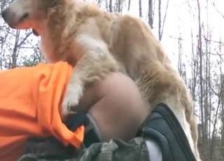 Mofo with a good-looking ass fucks a sexy dog