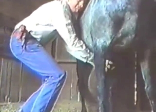 Stallion shows what it can do with that dong