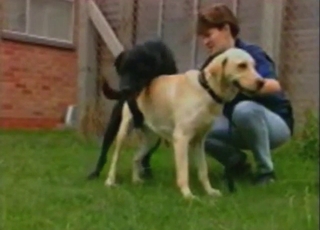 Trained work over beat with sexy bodies deracinate up mating