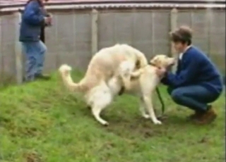 Trained work over beat with sexy bodies deracinate up mating