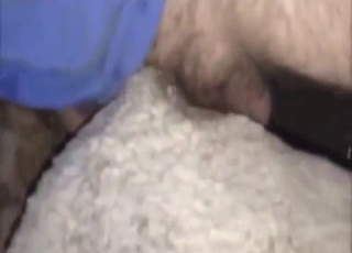 Sheep sex scene with two guys who obsess