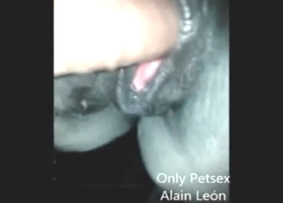 Mare fuck chapter set at night, he's gaping good