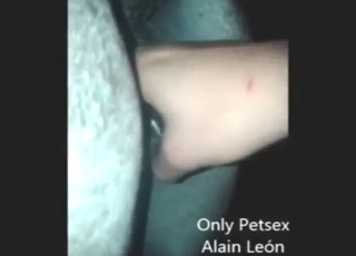 Mare fuck chapter set at night, he's gaping good