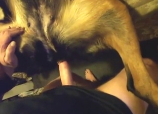 Dog's hole is going to get rammed real hard in POV