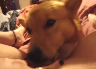 Amazing pussy worship be advantageous to a horny MILF bitch