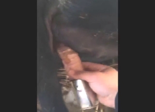 Infringe pussy is going to get explored hard by a dildo