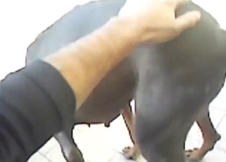 Unstoppable fingering session for a slutty dog