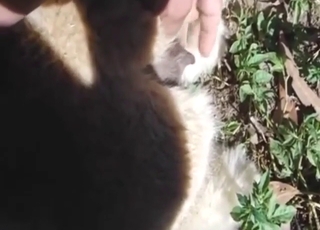 Gay blade has never been happier, go off at a tangent alpaca is HOT