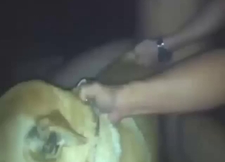 Defied beast knows why its master fucks drenching