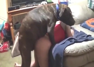 Revealing outfit makes this Asian whore hanker it